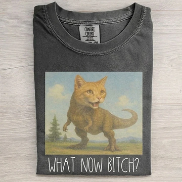 What Now Bitch Funny T-Shirt